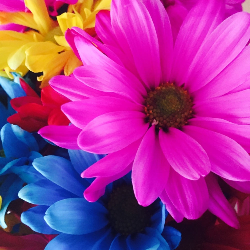 Send offers - reasonable offers accepted! ☺️🌷